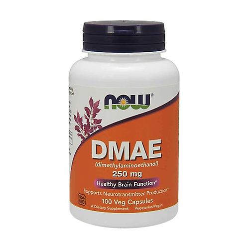 DMAE 250mg (dimethylaminoethanol) 100 vegetable capsules