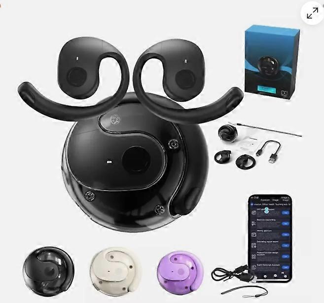 Hy-T26 Pro Language Translator Ørepropper, Trådløse Bluetooth-oversettelsesøretelefoner