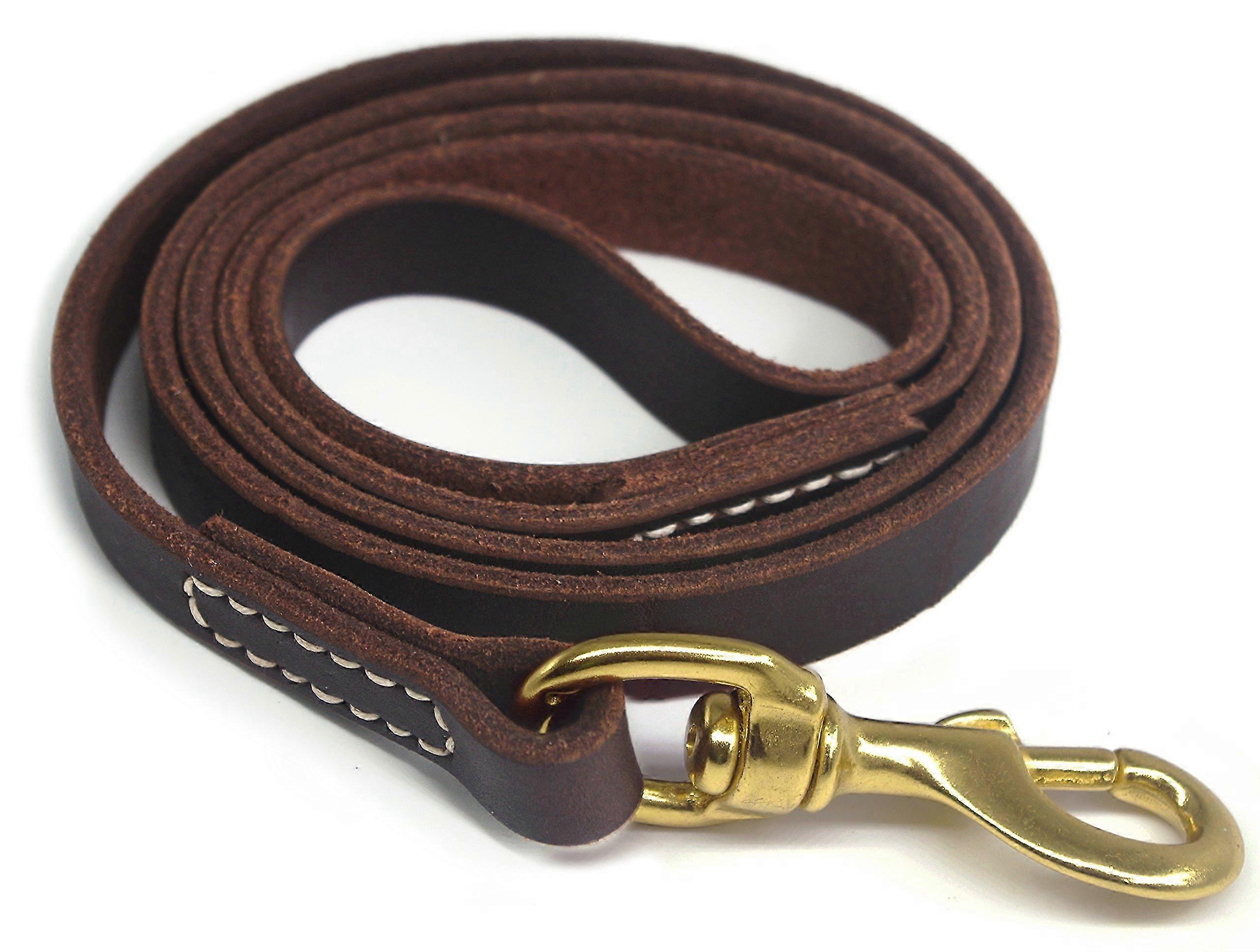 6ft Leather Training Leash for Medium Dogs