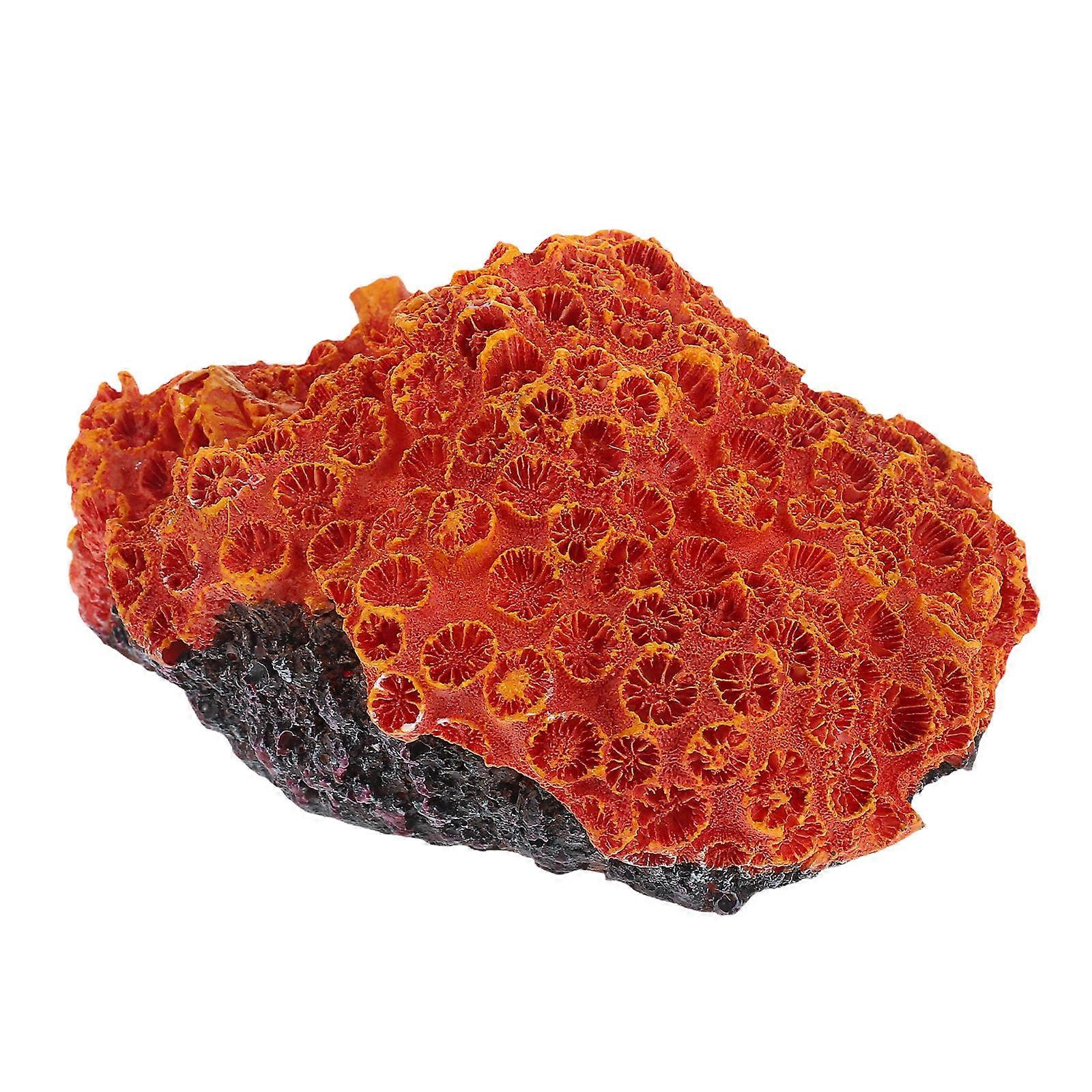 Decorative Coral Reef, Resin Ornaments for Aquariums and Fish Tanks, Stylish Design