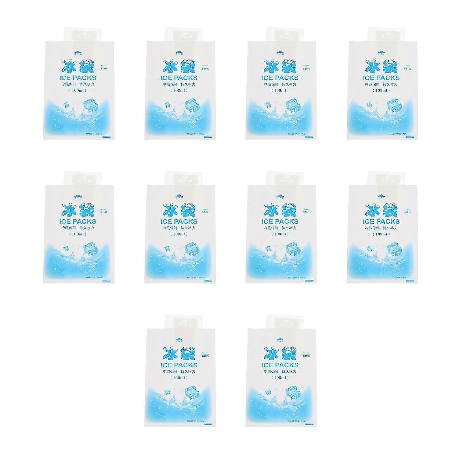 10 Pcs Arms Pain Ice Pack Cold Ice Bag Dry Ice Packs Food Ice Coolers Cooling Headache Pack