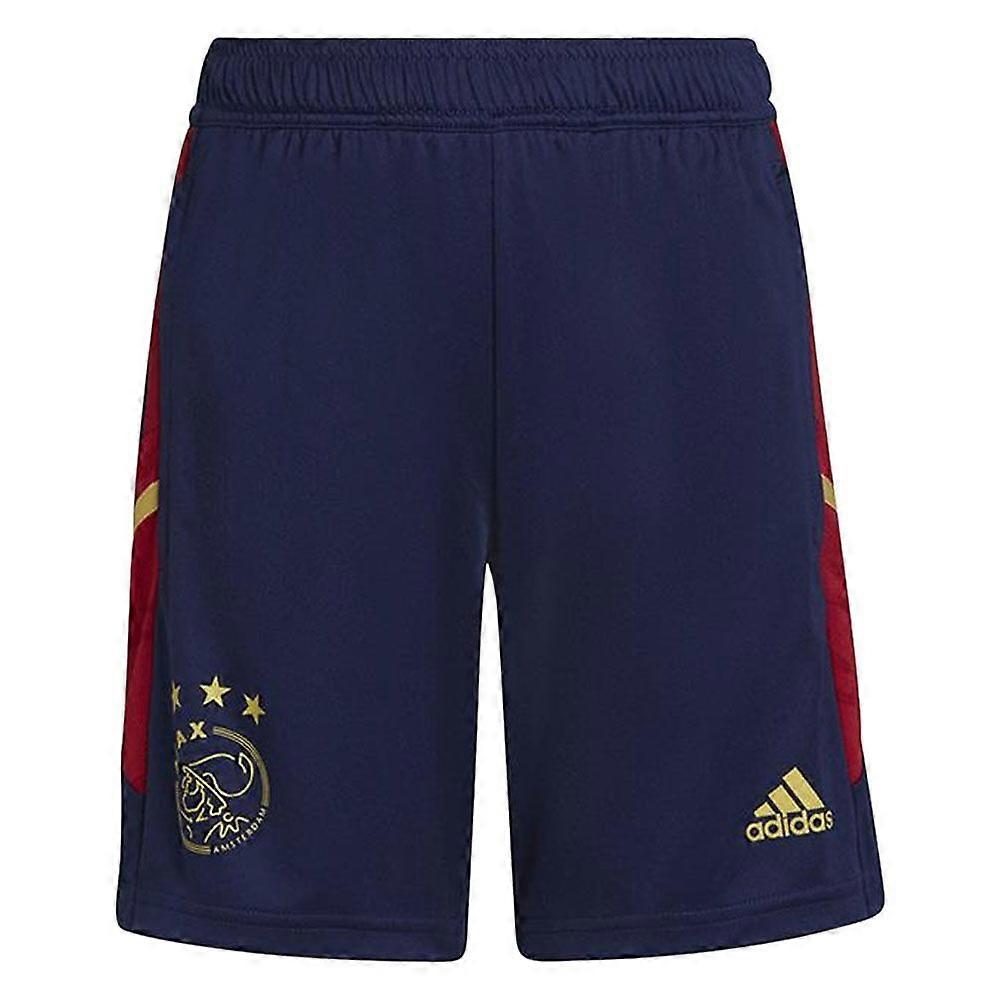 2022-2023 Ajax Training Shorts (Navy)