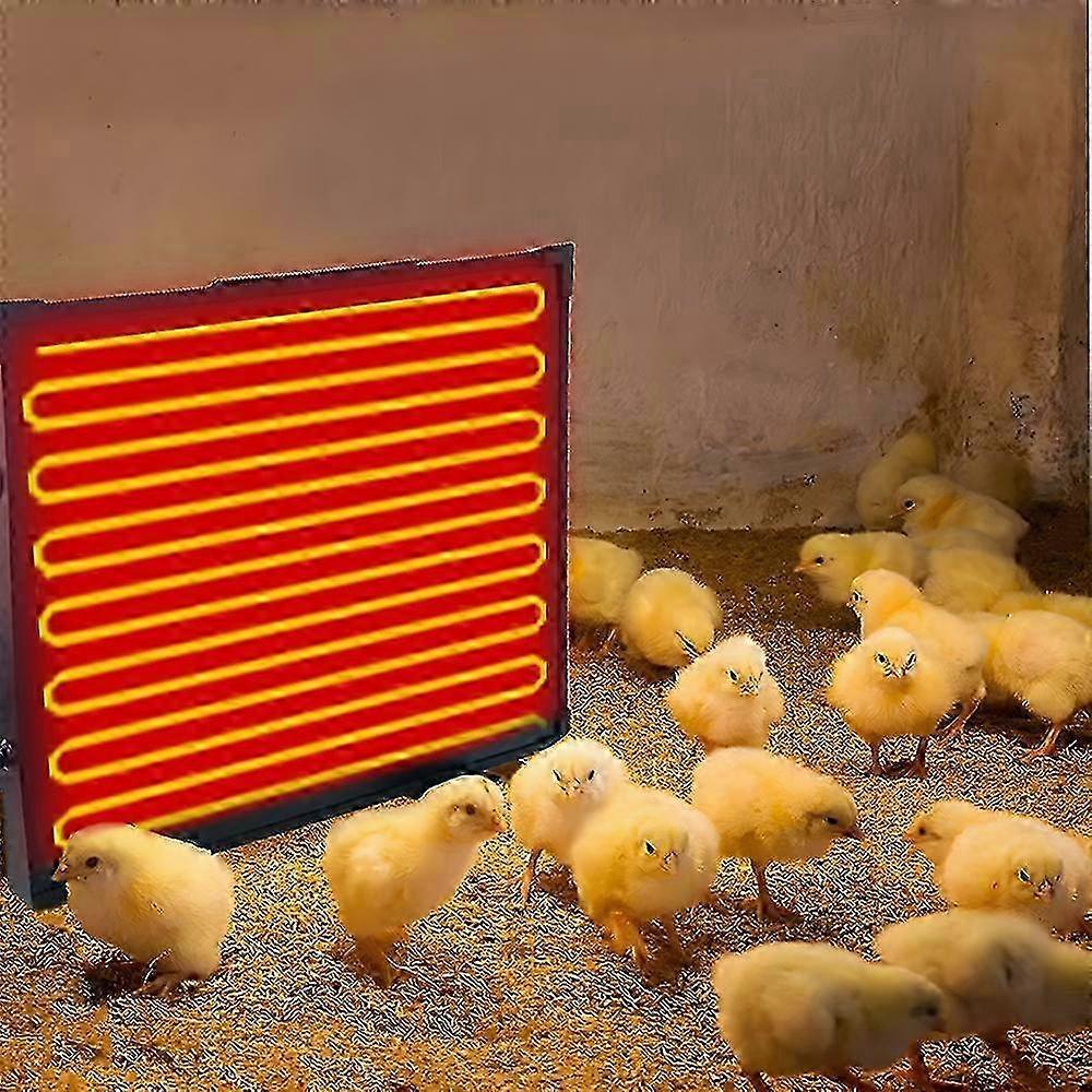 Chicken Coop Heater 145 Watts Radiant Heat Chicken Heater Energy Efficient Safer Than Brooder Lamp Flat Panel Heater for Chicks Hens Dogs Cats an