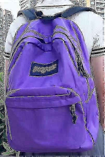 大きな学生、大きなバックパック、26インチのラップトップコンパートメントバックパック、紫