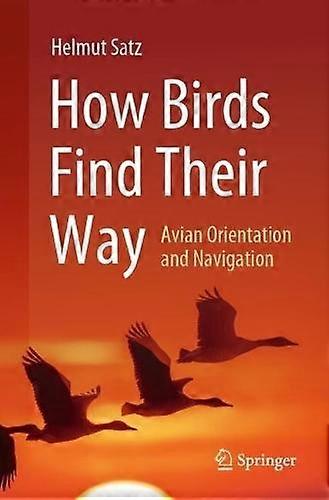 How Birds Find Their Way by Helmut Satz Paperback