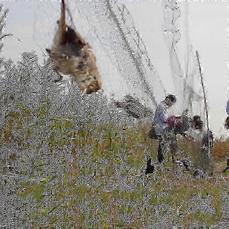 e Bird Catcher Net Pond Net Fishing Net Crops Fruit Tree Vegetables Flower