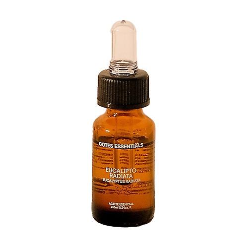 Eucalyptus radiata essential oil 10 ml of essential oil (Eucalyptus)