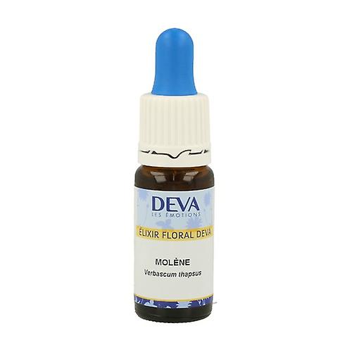 Molène - Dropper 10 ml of floral elixir