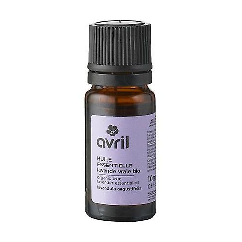 Organic real lavender essential oil 10 ml of essential oil