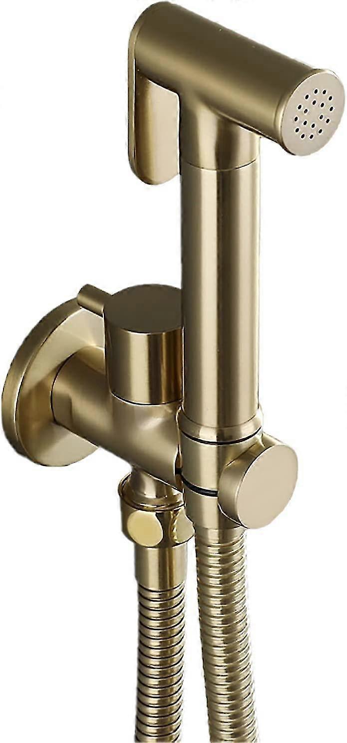 Spruzzatore per bidet portatile per WC, kit spray per WC in ottone oro spazzolato singolo spruzzatore per WC a parete fredda spruzzatore per WC, per la pulizia della toilette, P