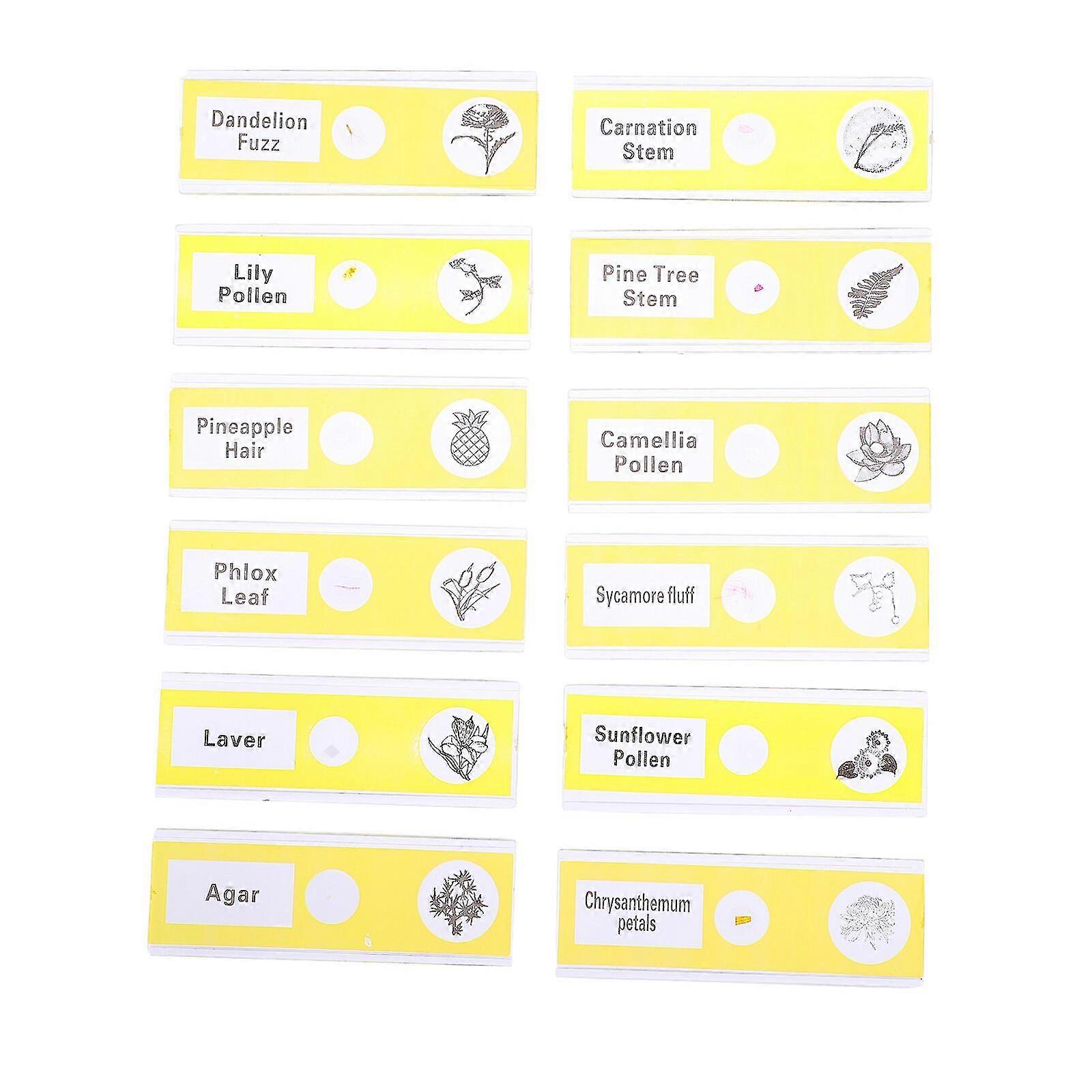 12pcs Prepared Microscope Slides Specimen Plants Sample Specimens Slides