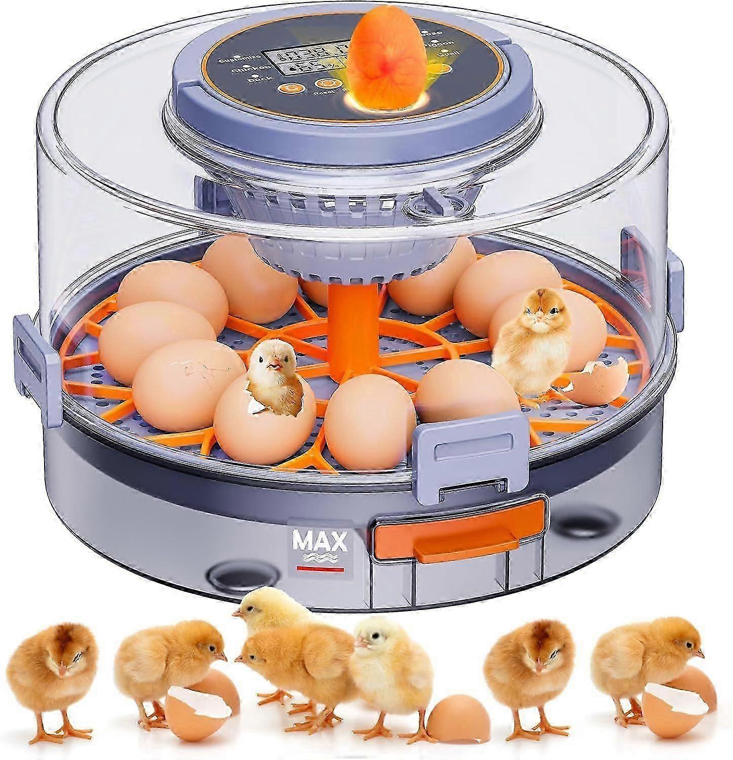 Automatic Egg Incubators for Hatching Eggs, 12 Egg Incubator with Automatic Egg Turning and Humidity Control, Egg Candler, 360 Viewing, Chicken Incuba
