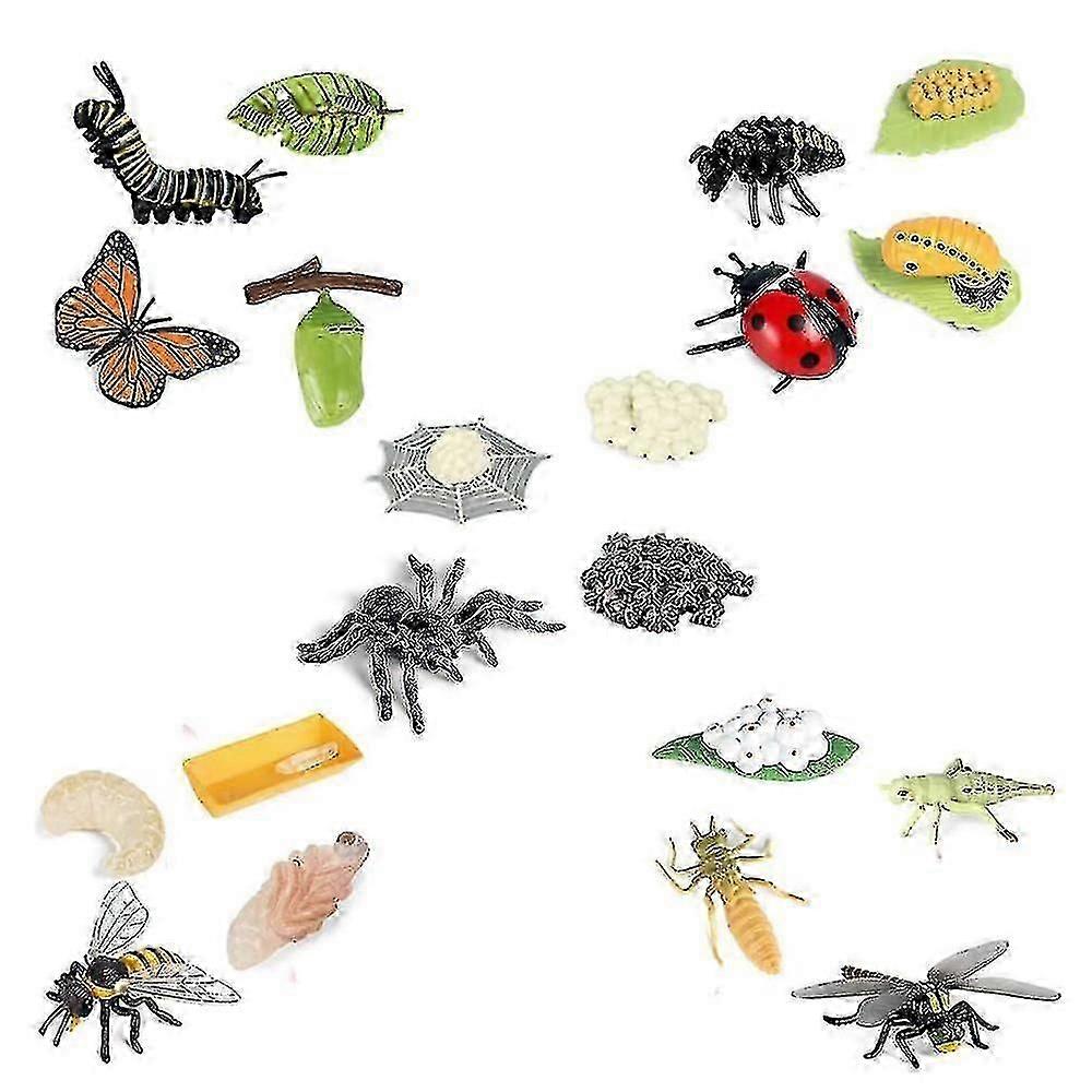 Life Cycle Figurines Of Butterfly Spider Bee Ladybug Dragonfly, Plastic Insect Bug Figures Toy, Sch