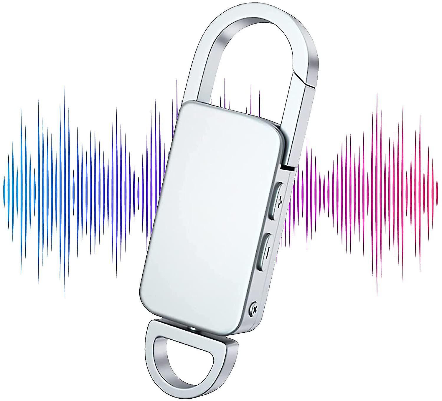 Keychain Voice Recorder, Usb Digital Voice Recorder For Lectures, Meetings, Classrooms- 32gb(silver)