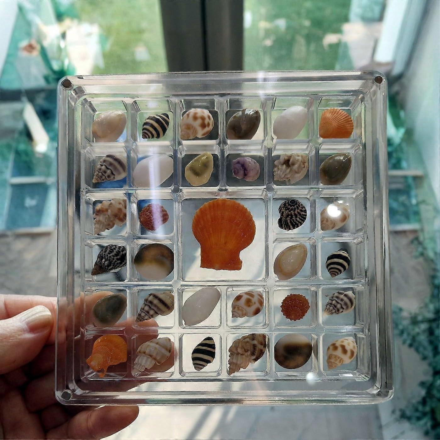 Acrylic Display Case with 33 Compartments, Stackable Organizer for Shells and Small Collectibles