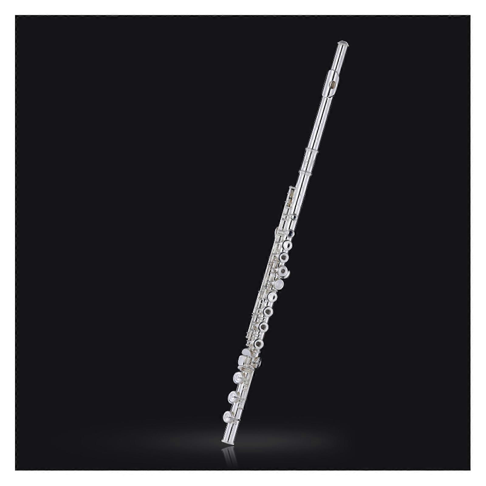 Professional Flute for Beginners 17 Hole E Key with Precision Intonation and Expanded Tonal Range