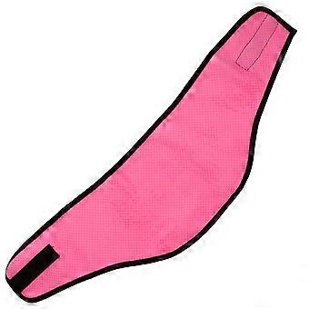 1 Pair of Dog Ear Stand Sticker  Safety Dog Ear Support Dog Ear Correction Supplies