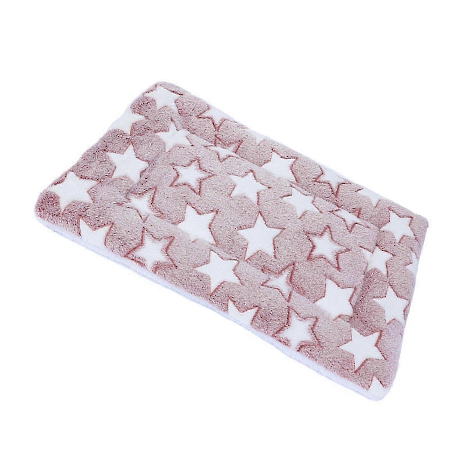 Plush Thickened Reversible Pet Mat