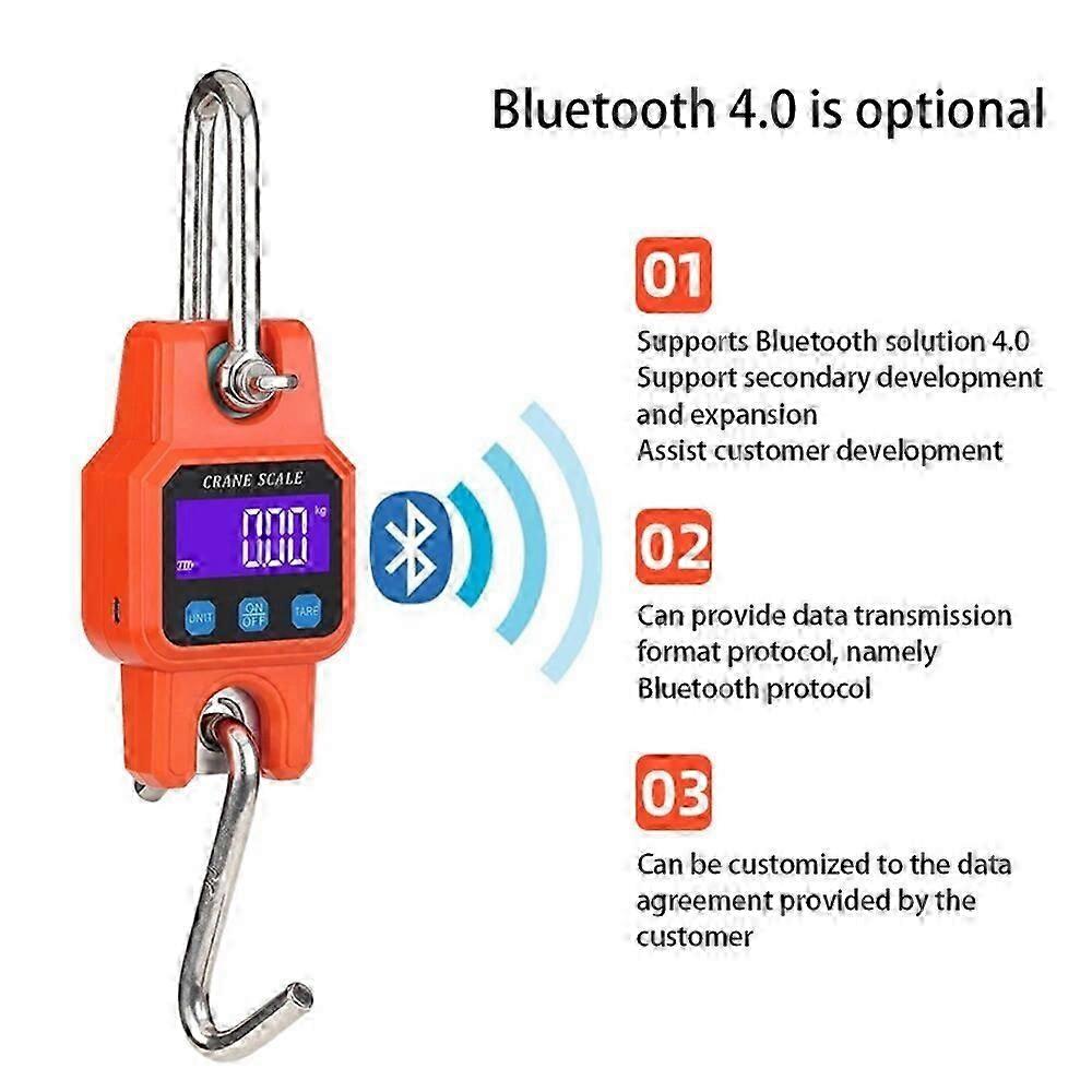 WeiHeng C06 Portable Electronic Hook Scale Charging Bluetooth Mini Lifting Scale For Household Use