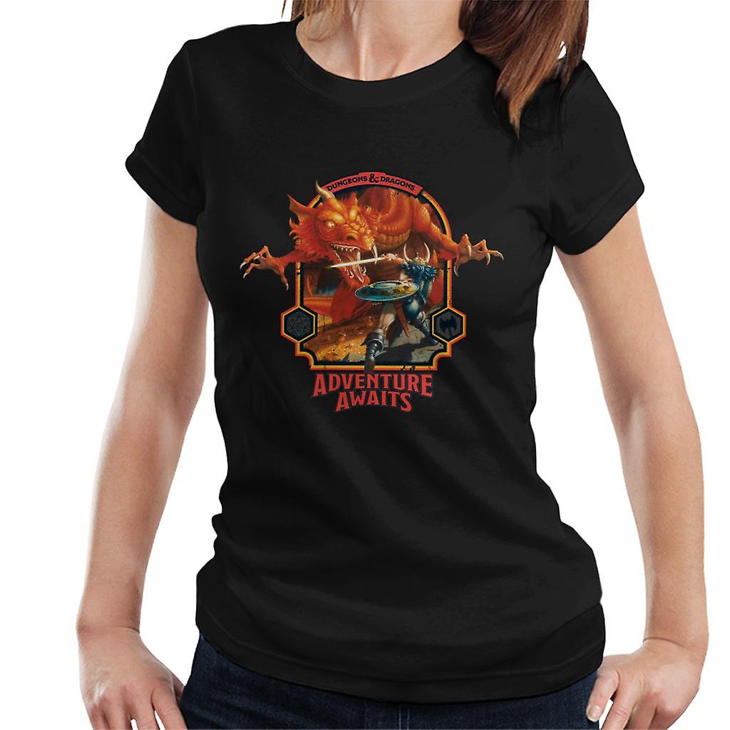 Dungeons & Dragons Adventure Awaits Women's T-Shirt