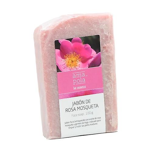 Rosehip soap 100 g (Rosehip)