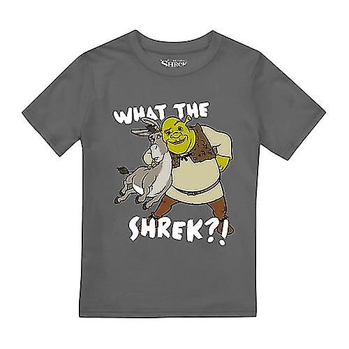 Shrek Boys Best Buds T-Shirt