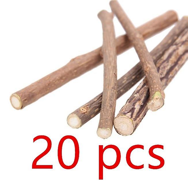 Cat Cleaning Teeth Pure Natural Catnip Stick Pet Cat Molar Toothpaste Silvervine Actinidia Fruit Matatabi Cat Snacks