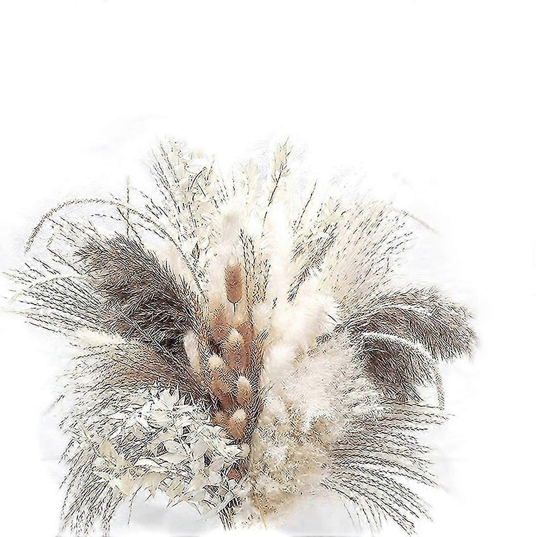 79 قطعة من عشب بامباس المجفف الطبيعي ، ديكور بوهو أبيض أبهى العشب كبير القصب الأرنب الذيل ساق القمح الزخرفية