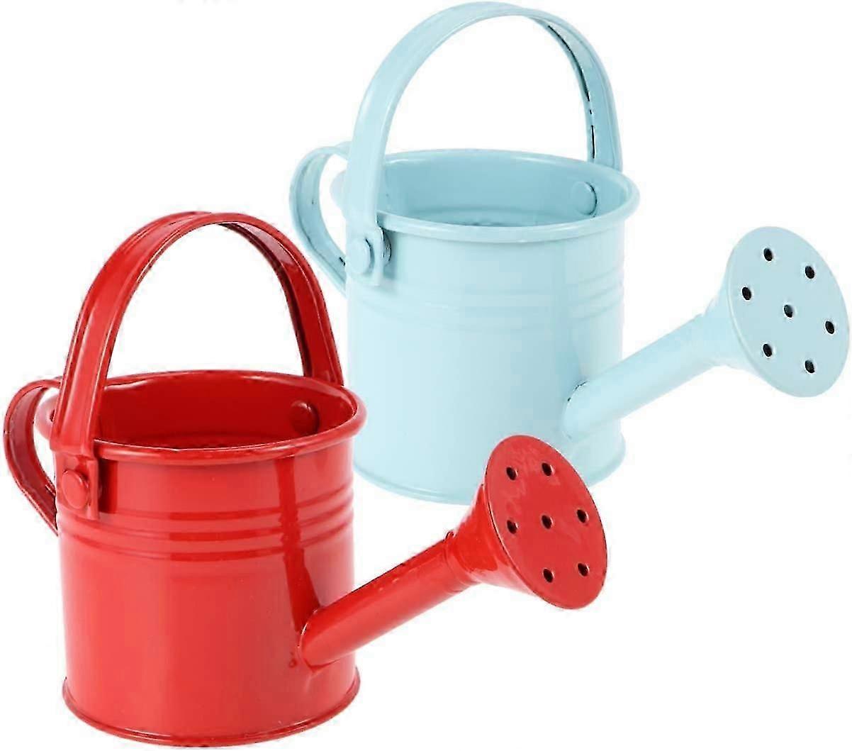 2pcs watering can, long spout, iron, suitable for indoor use
