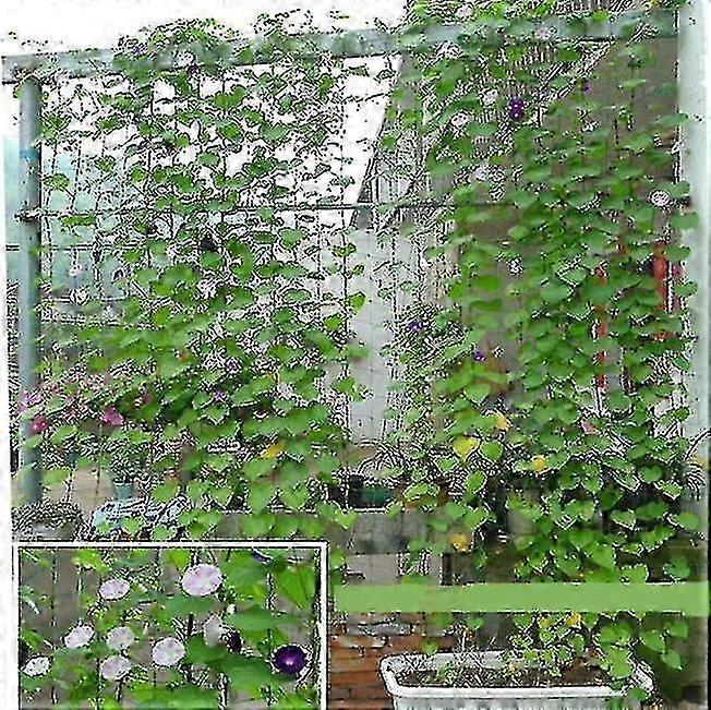 0.9m*1.8m Trellis Netting for Climbing Garden Plants