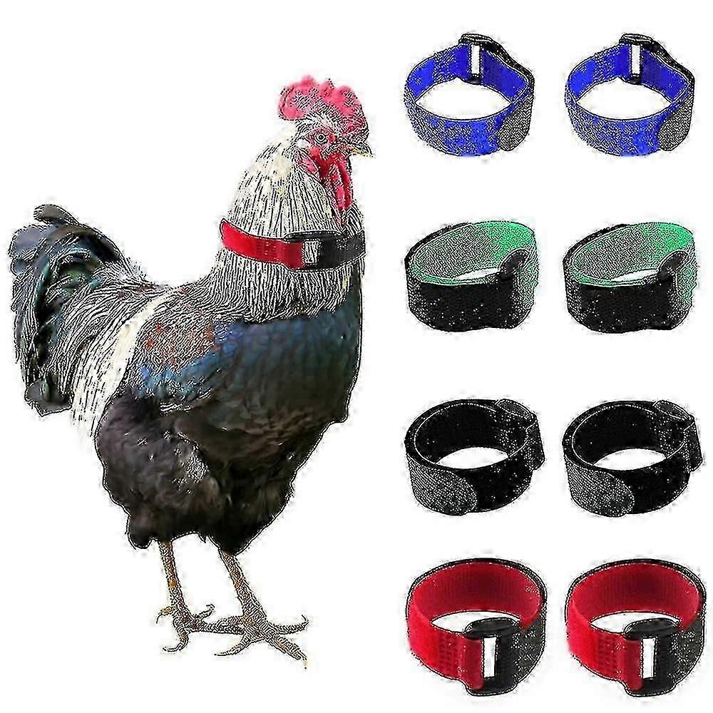 Guler de pui textura moale anti-cocoș crowing reglabil anti-cârlig cocoș guler păsări de curte consumabile de înaltă calitate