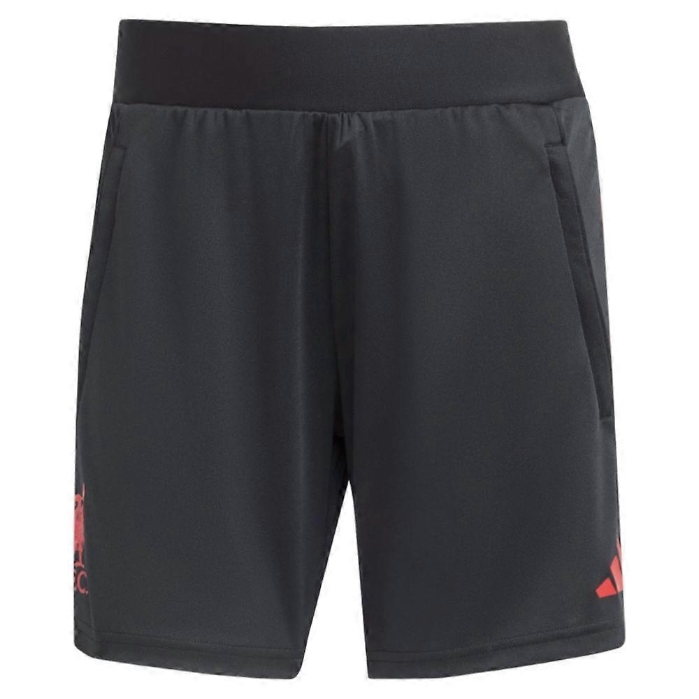 2025-2026 利物浦训练短裤 （黑色） - 童装
