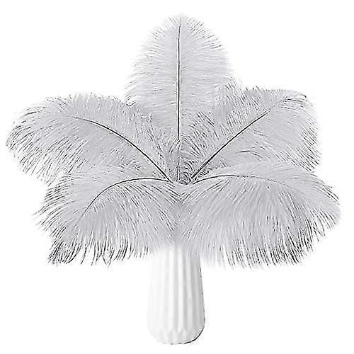 20pcs Bulk Feathers  Grey