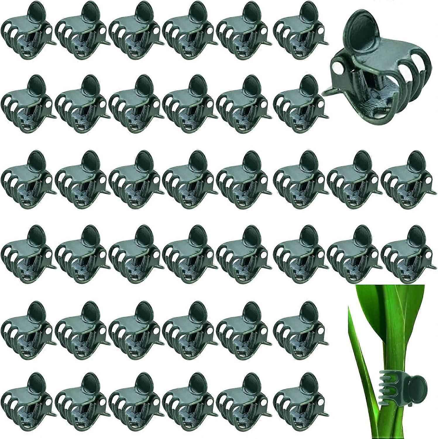 100-Pack Plant Clips - For Supporting and Securing Plants