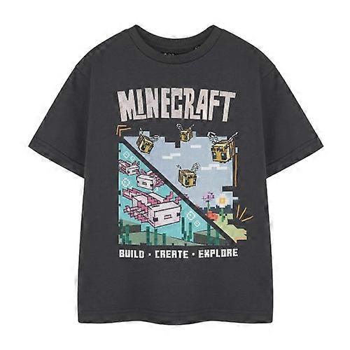 Minecraft Girls Build Create Explore T-Shirt
