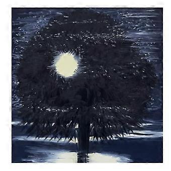 Ann Craven : Nuit