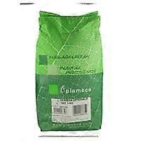 Crushed Verbena Herb 1 kg