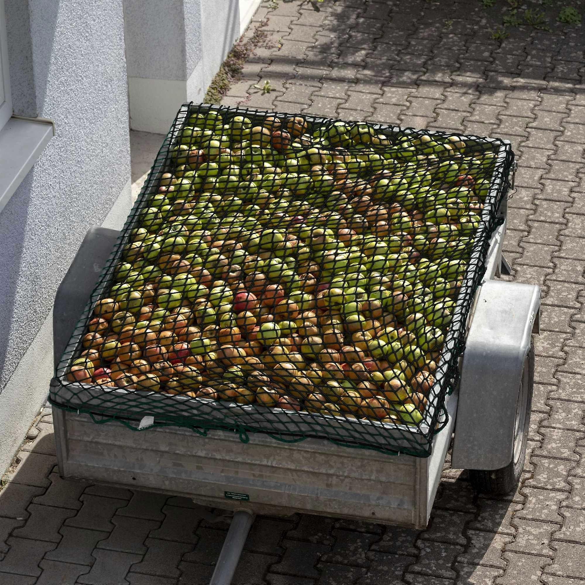 Cargo net 2 x 3 m