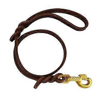 76cm Braided Leather Dog Leash