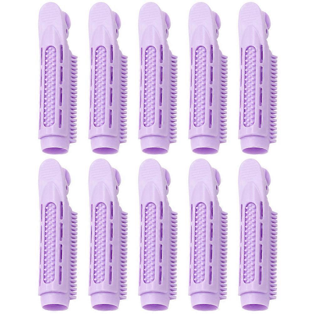 Hair Curler Clips 10pcs Lightweight Durable Roller Grip Tools for DIY Hair Styling at Home or Travel Non Damaging Cling Design for Bangs and Curls