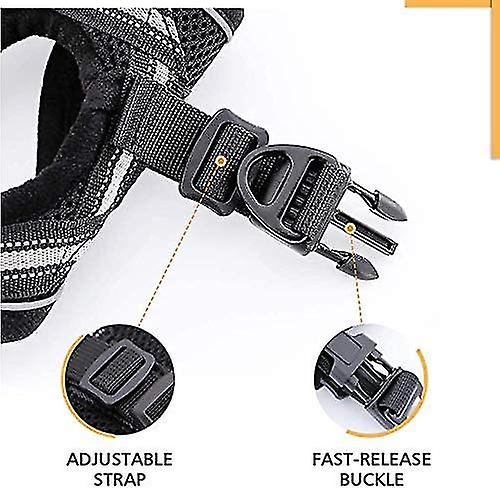 Bvizyelck Sele Fu00f6r Katter, Kattsele Och Bu00e4lte - Mesh Lu00e4tt Bvizyelck Sele Fu00f6r Katter, Kattsele Och Bu00e4lte - Mesh Lu00e4tt