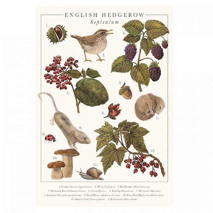 Tall Boy Prints English Hedgerow Print
