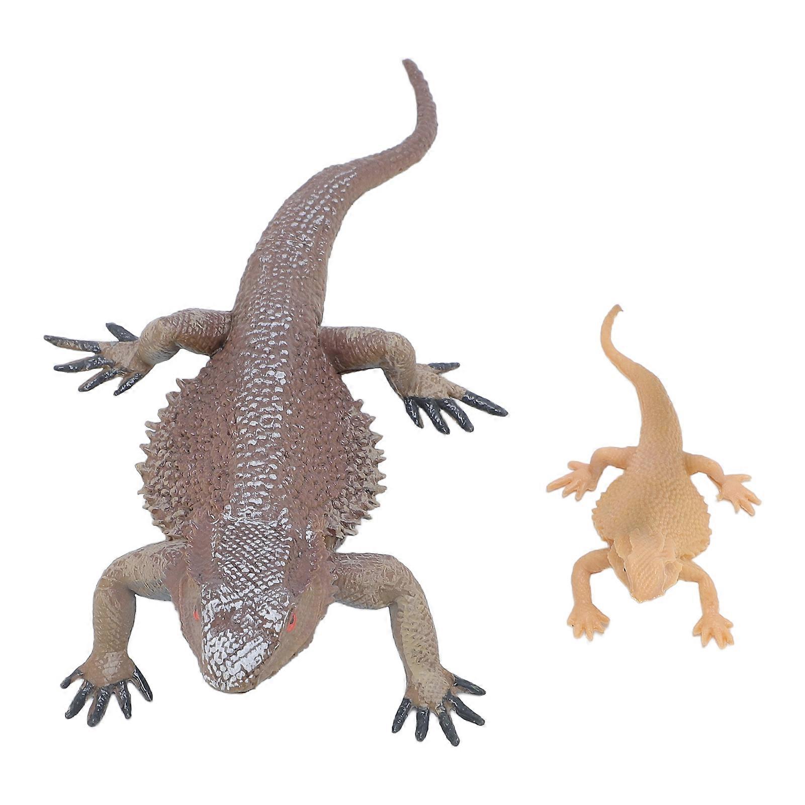 Lizard Life Cycle Figurine Toy PVC Set Educational Interactive Model