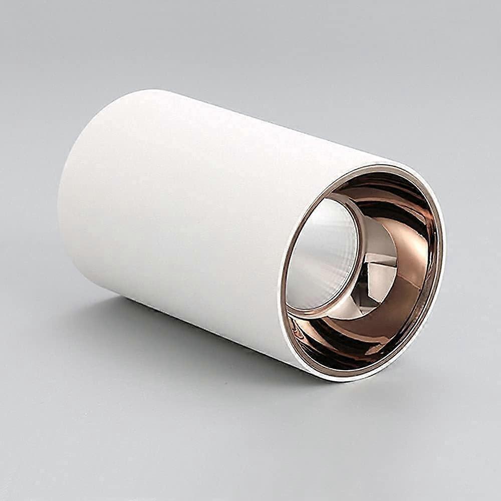 Led Ceiling Spotlight Surface Mounted Spot Light 20W Aluminum Directional Ceiling Downlight Modern Gallery Lighting