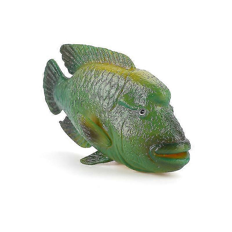 Ensemble tropical gigantesque de jeu de figure de poisson en caoutchouc