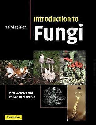 Introduction aux champignons