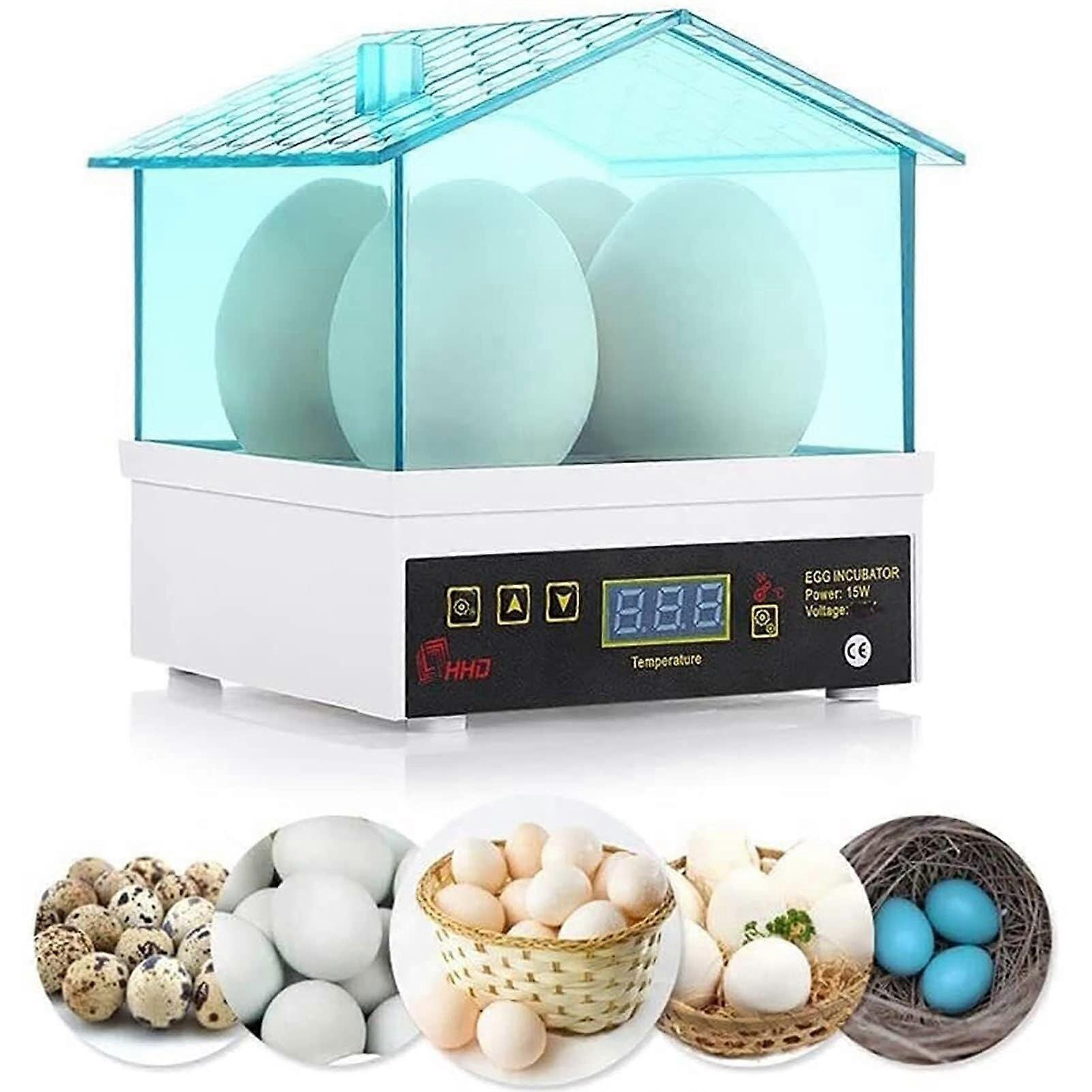 Small Egg Incubator with Precise Temperature Control, Transparent Window, Compact 4Egg Capacity
