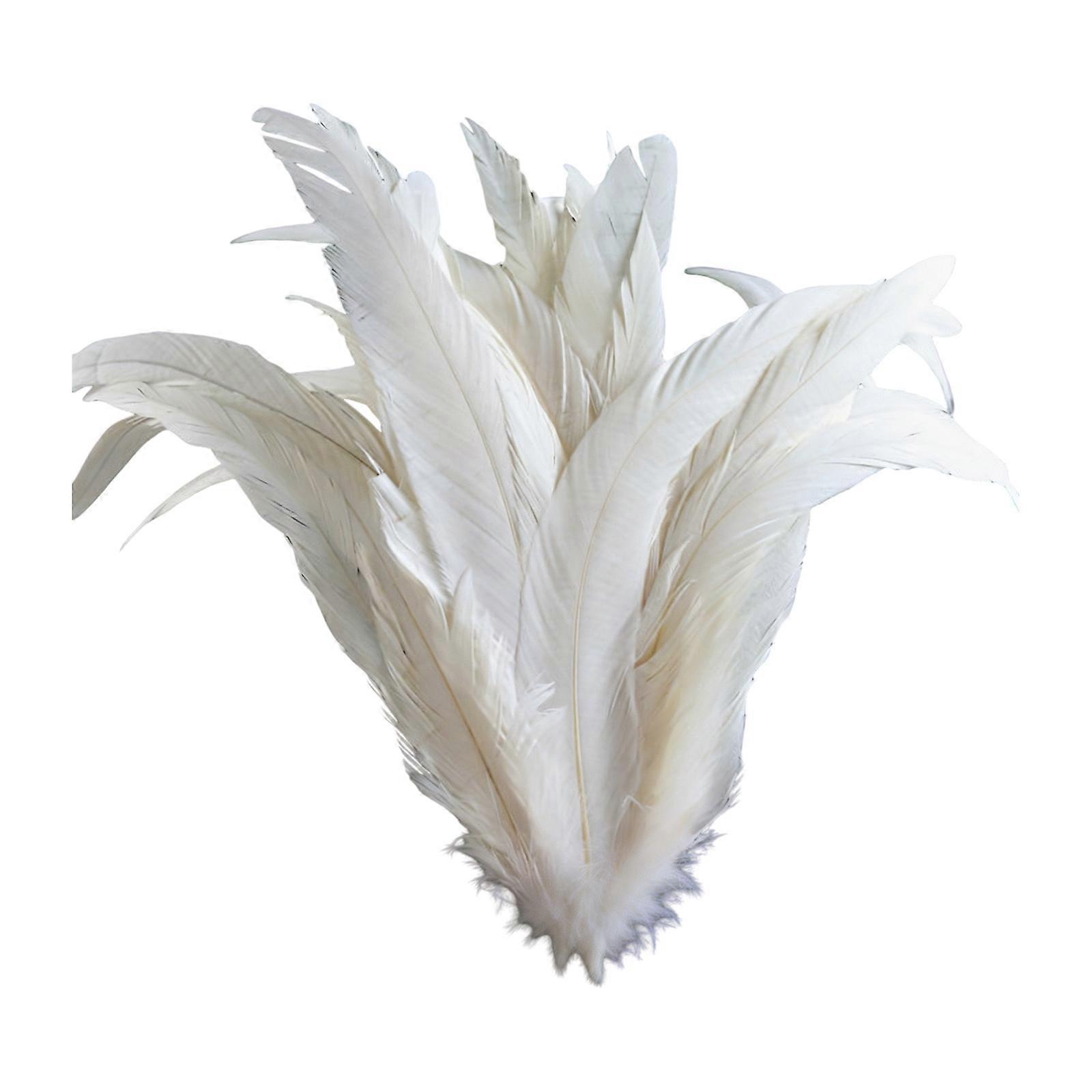 40 pièces de plumes blanches délicates de 25 à 30 cm, idéales pour les finitions de vêtements et la décoration intérieure.