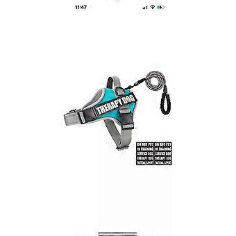 XS Dog Vest Harness and Leash Set, Animire Reflective ServicedogVest in Training
