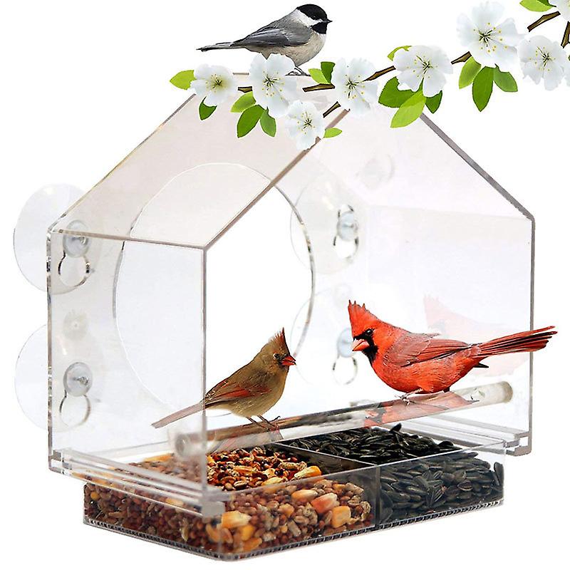 Window Bird Feeder - Clear with Feeder, Fat Ball